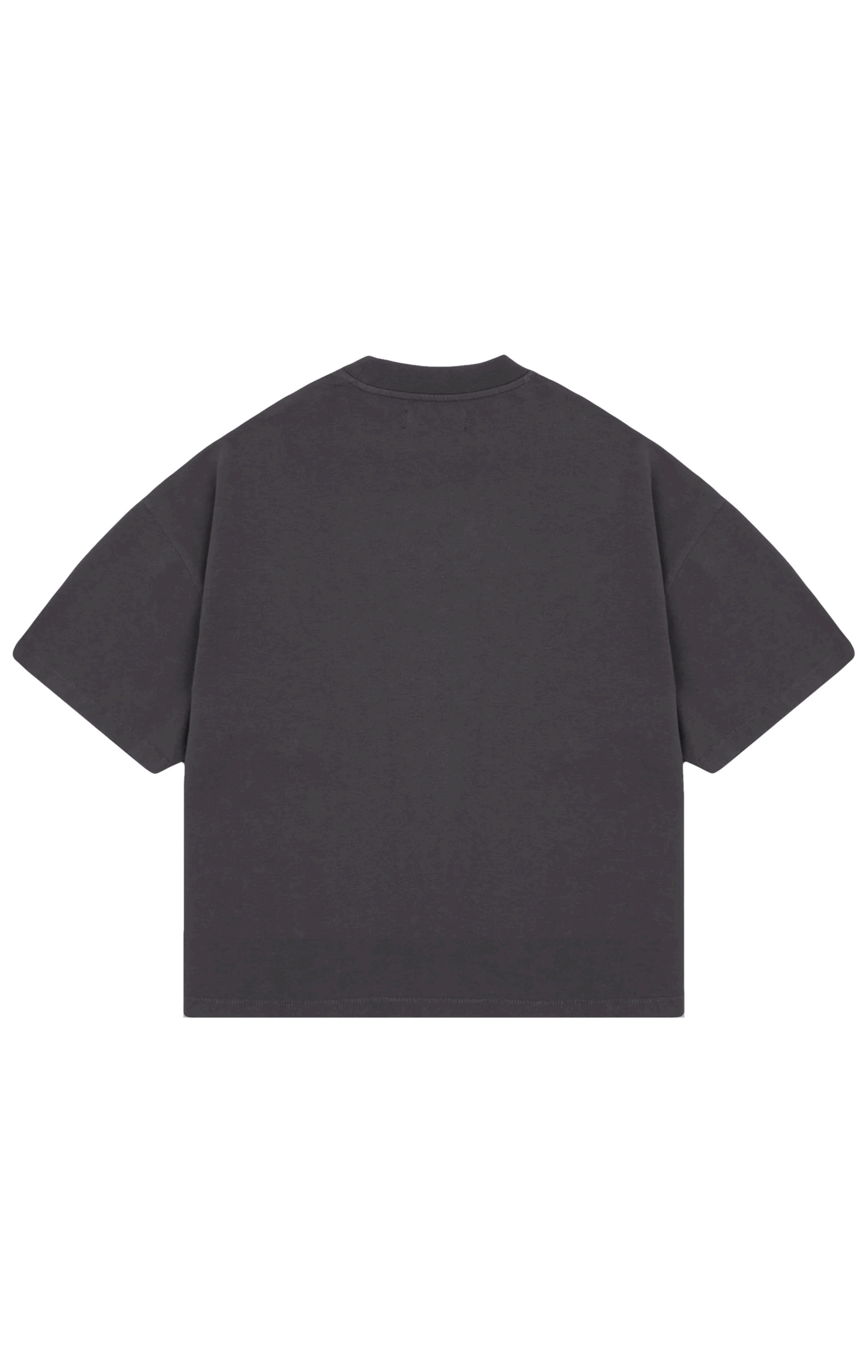 310GSM CROP OVERSIZE TEE- FOSSIL